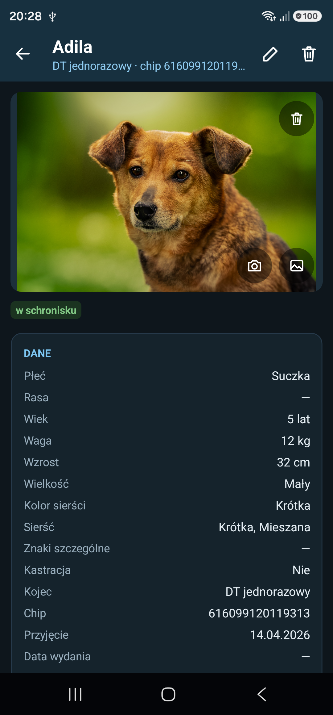 Karta psa: zdjęcia z aparatu albo galerii i dane z kartoteki; przesunięcie palcem w bok przechodzi do następnego psa z listy